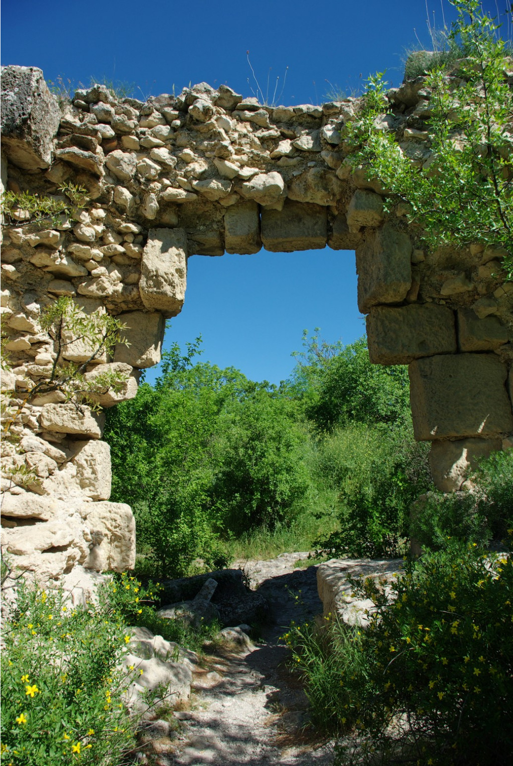 _IGP3904.jpg