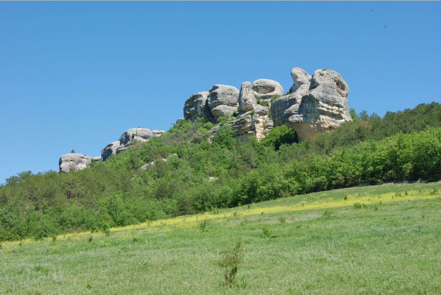 _IGP3931.jpg