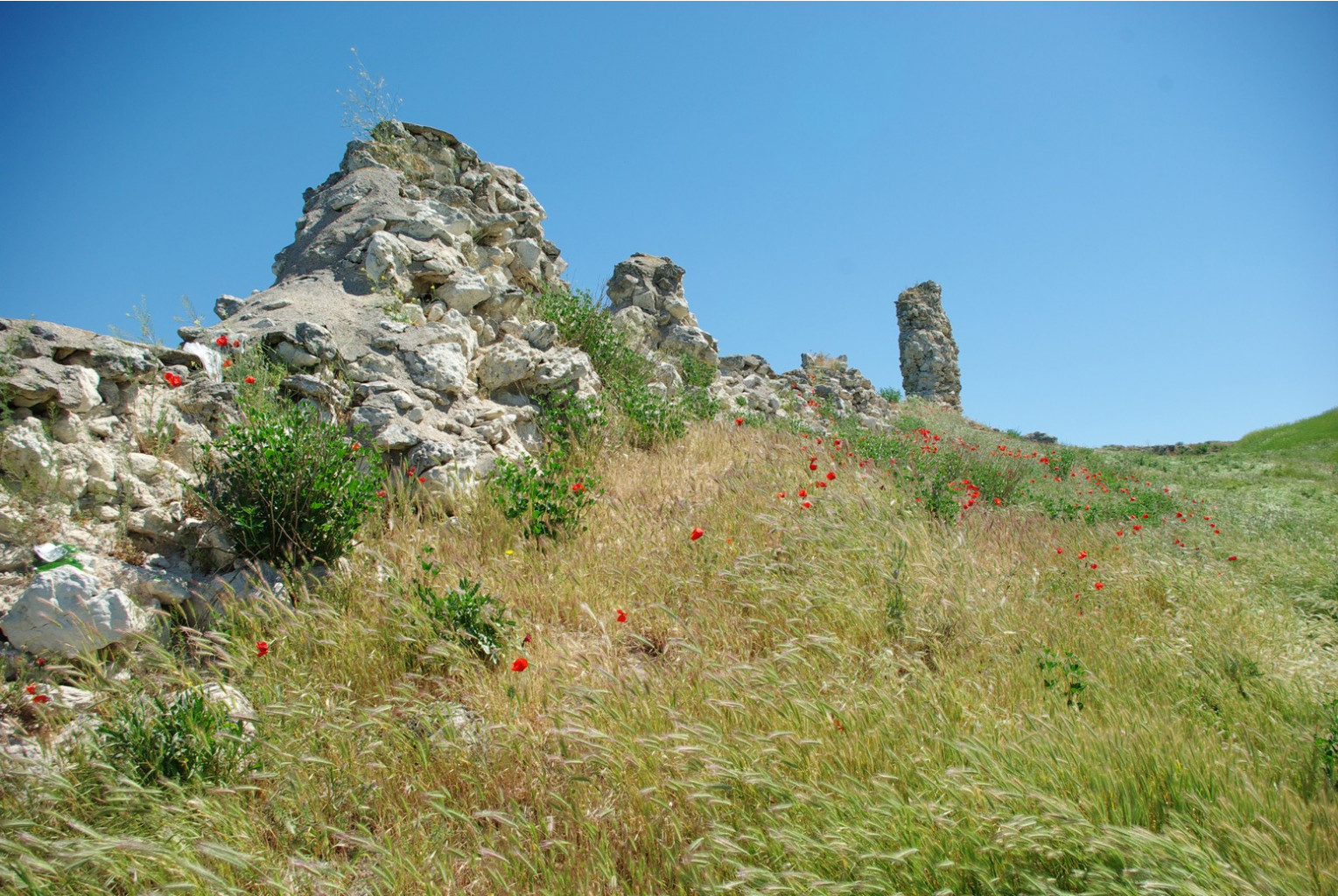 _IGP4129.jpg