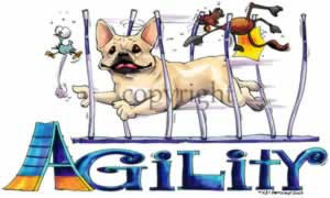 french_bulldog_agility_poles.jpg