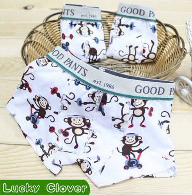 http://www.aliexpress.com/item/hot-selling-wholesale-baby-underwear-children-pants-kids-shorts-baby-briefs-children-underwear-infant-pants-12pcs/640469975.html