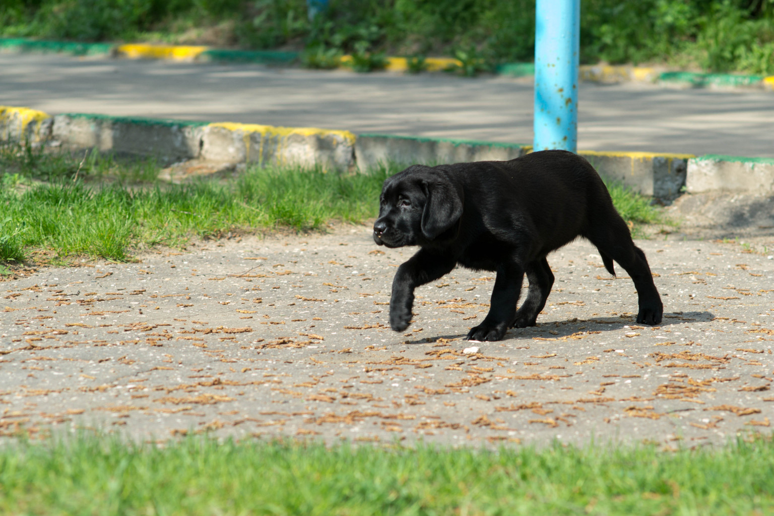 20130512-_DSC0870.jpg