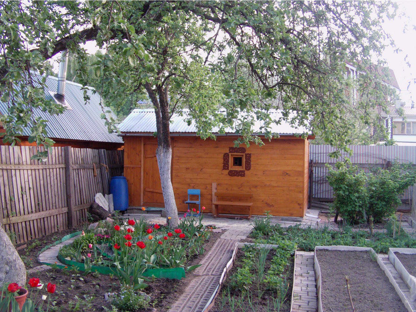 IMAG0229.JPG