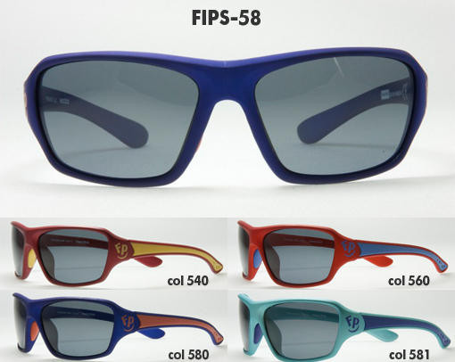 FIPS-58 - 950,00.jpg