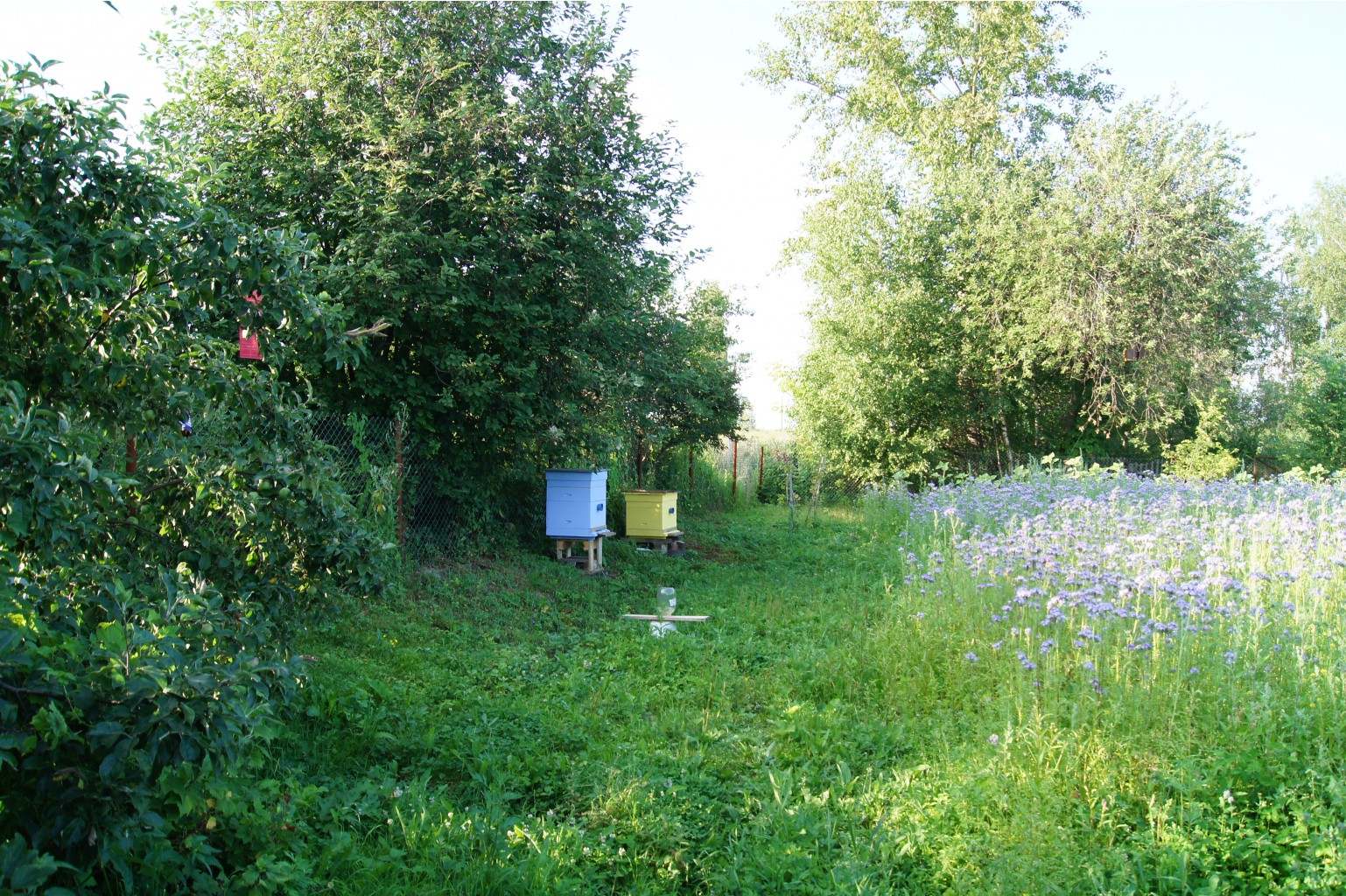 17.05.2013 9:23:43