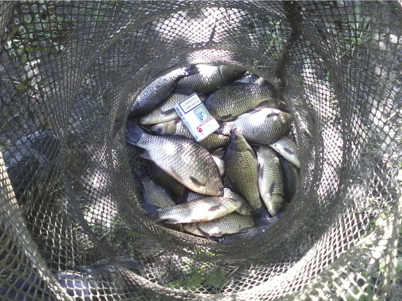P19-05-13_14.50.jpg