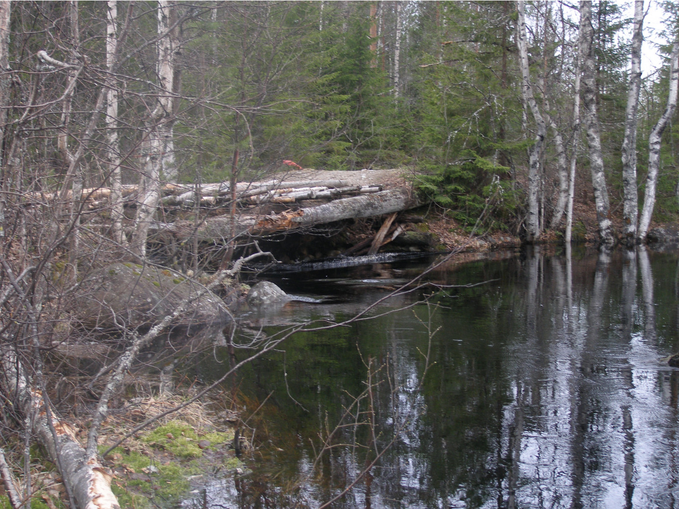 P5133845.JPG