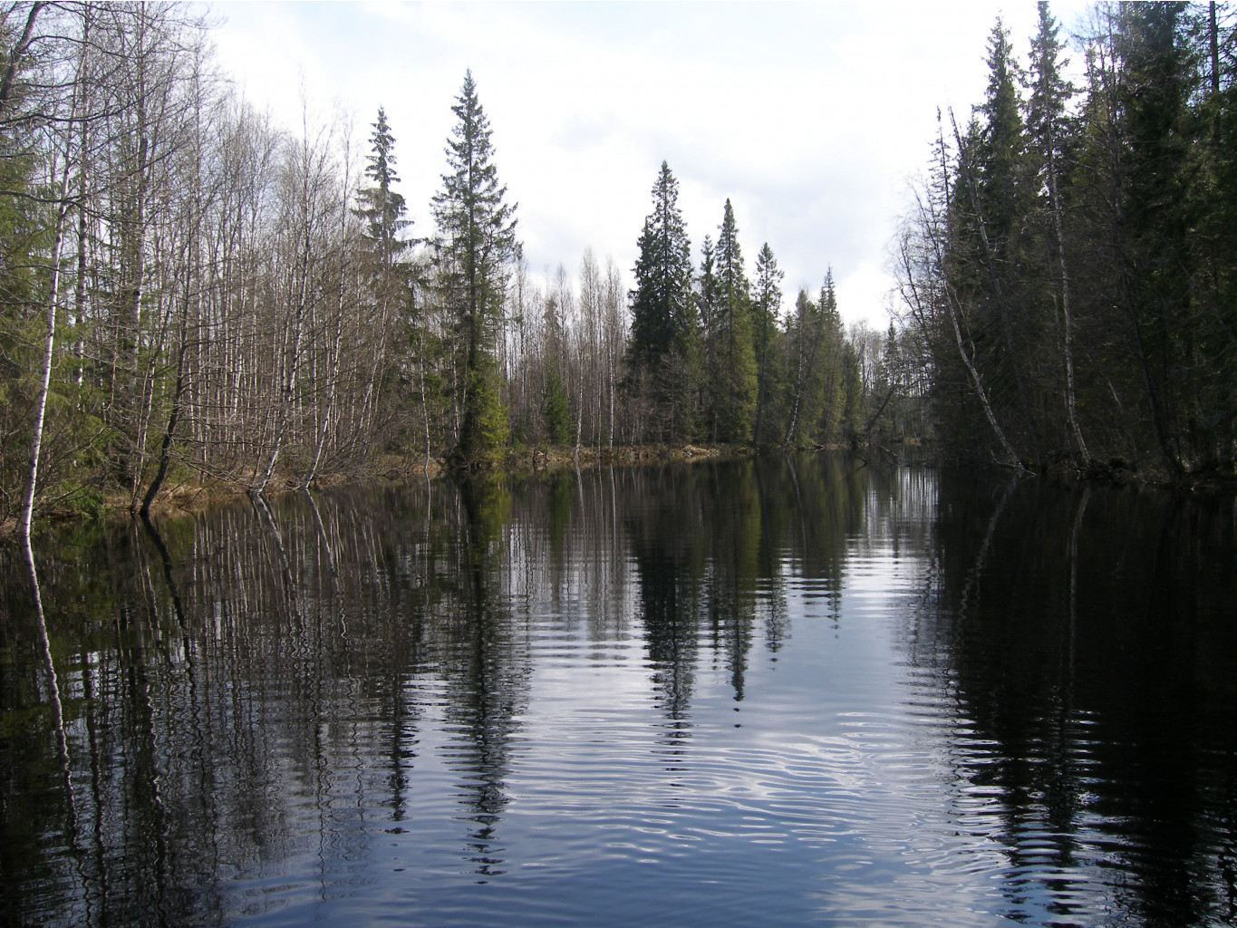 P5143946.JPG
