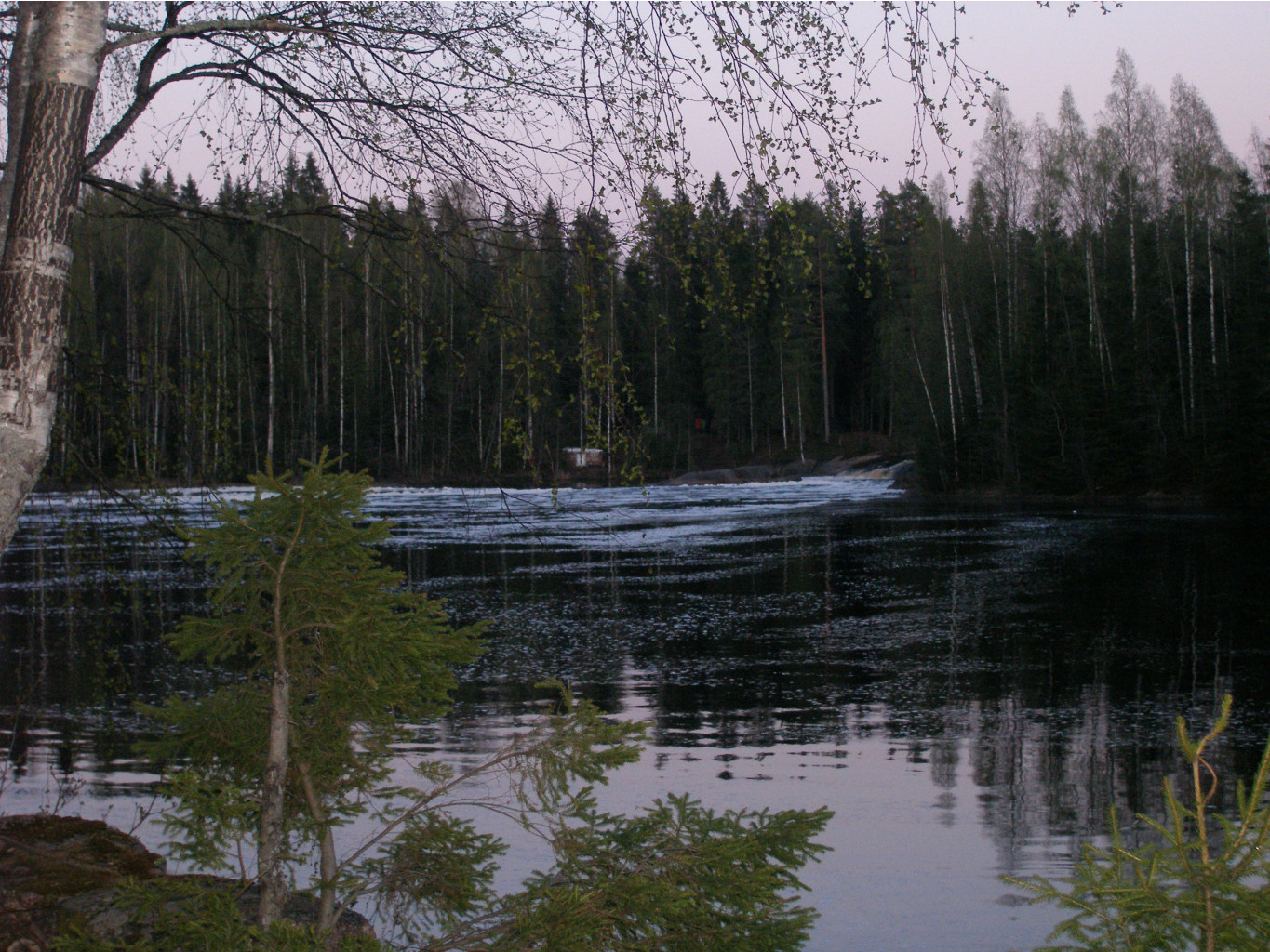 P5154056.JPG