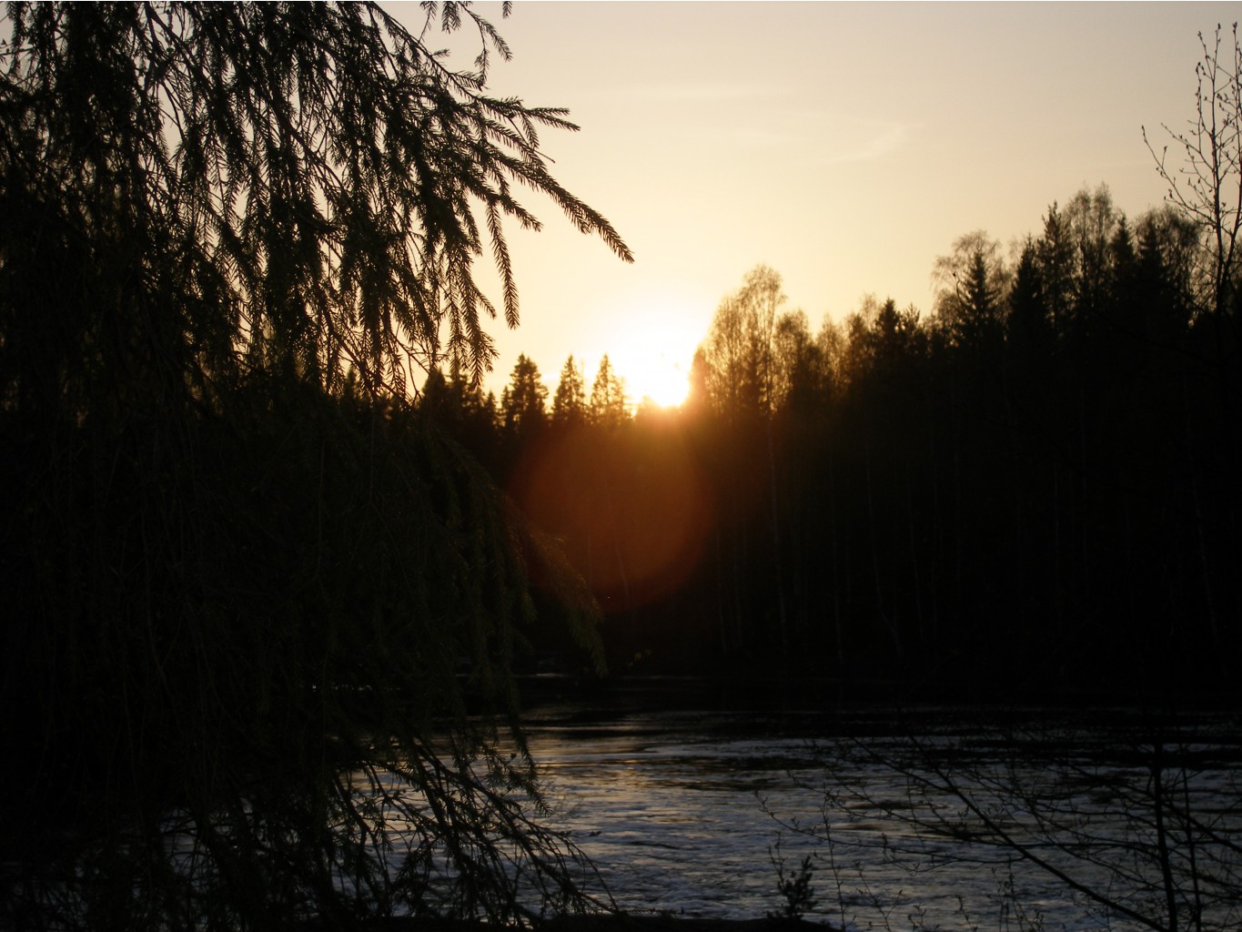 P5164272.JPG