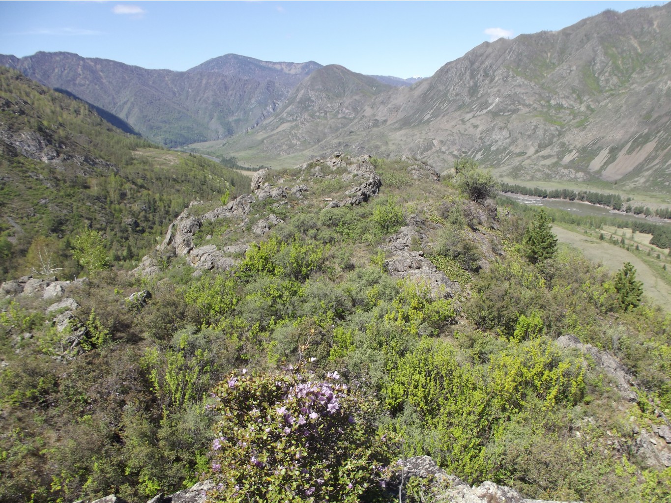 DSCF4093.JPG