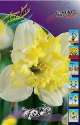 Narcissus Frileuse 144,4.  10..jpg