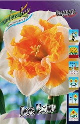 Narcissus Love Call 188,6.  10..jpg