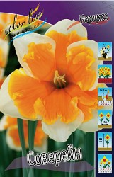 Narcissus Souvereign 150.  10 ..jpg