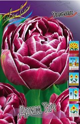 Tulipa Dream Touch 231,3.  10.jpg