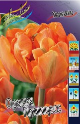 Tulipa Orange Princess 113,8.  10.jpg