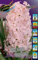 hyacinth_chestnut_flower_1819ya._pp_5_yaya..jpg