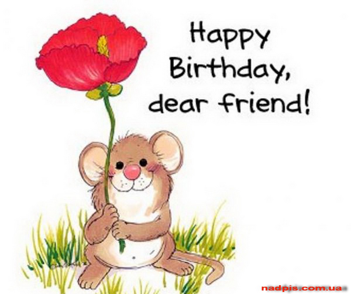 httpnadpis.com_.uahappy-birthday-dear-friend-.jpg