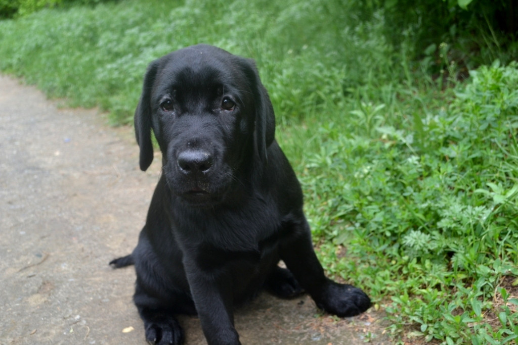 DSC_2228.JPG