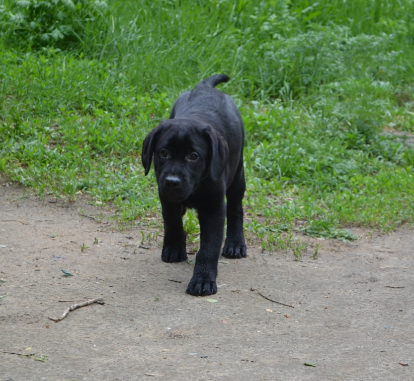 DSC_2275.JPG