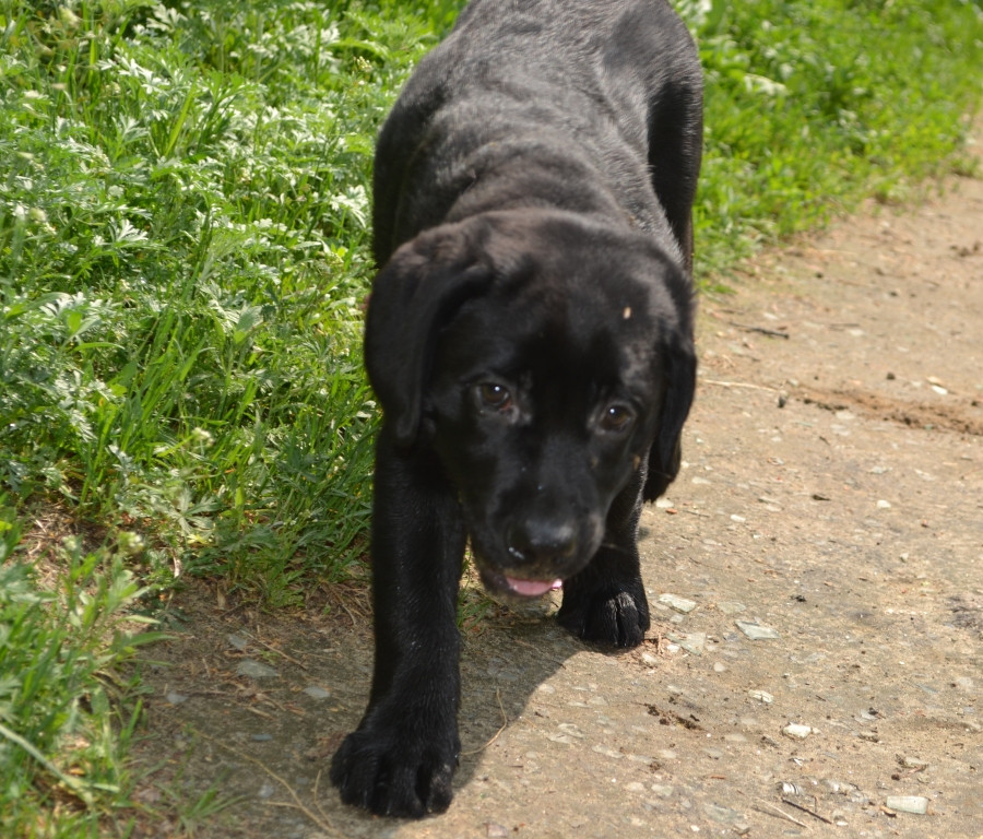 DSC_2284.JPG