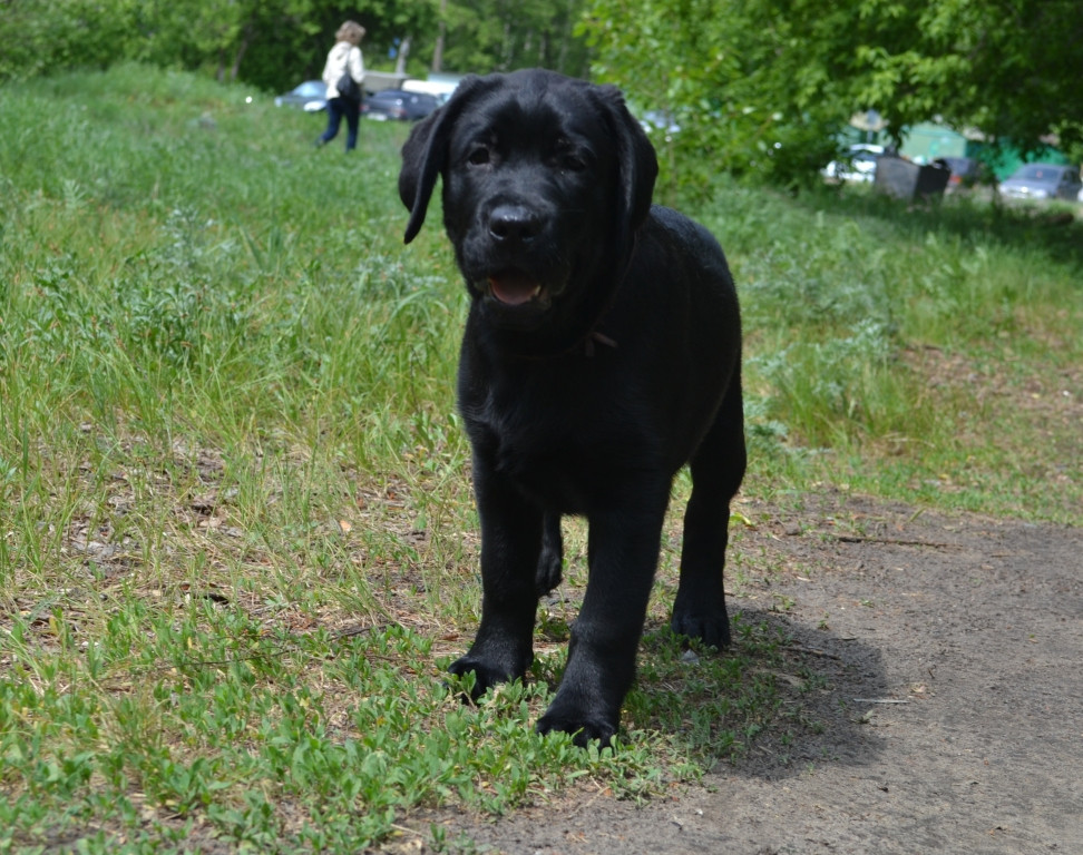 DSC_2321.JPG