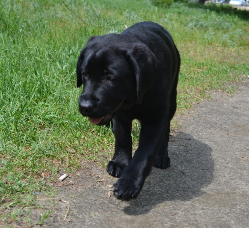 DSC_2329.JPG