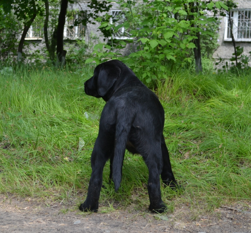 DSC_2330.JPG