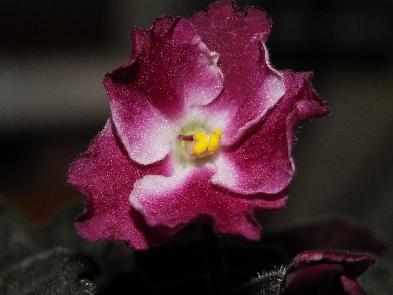 DSCF1970.JPG