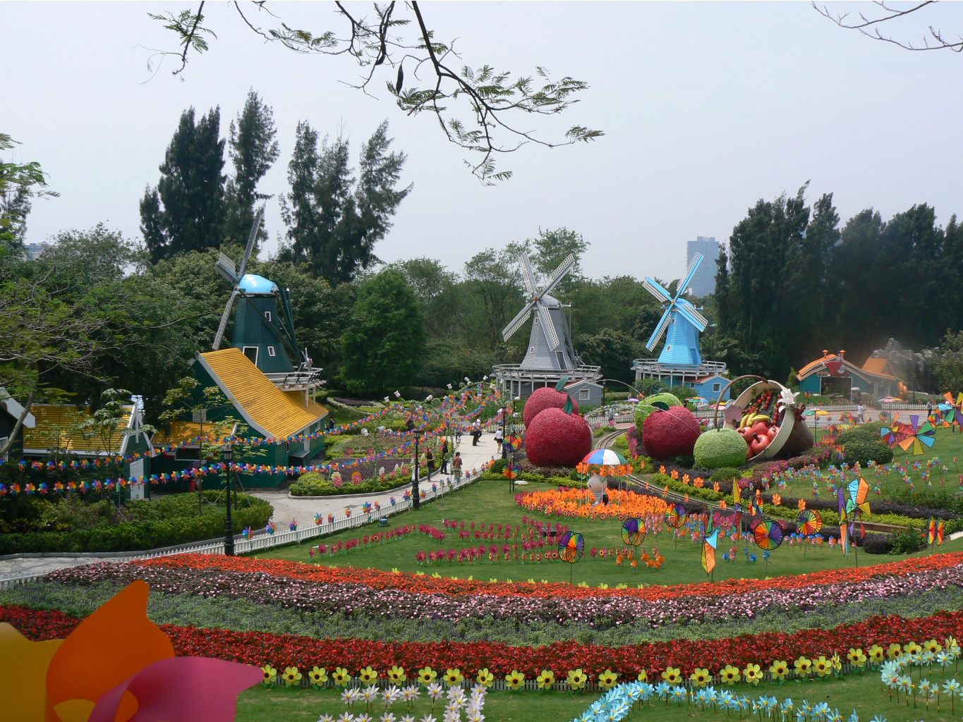 P1080395.JPG