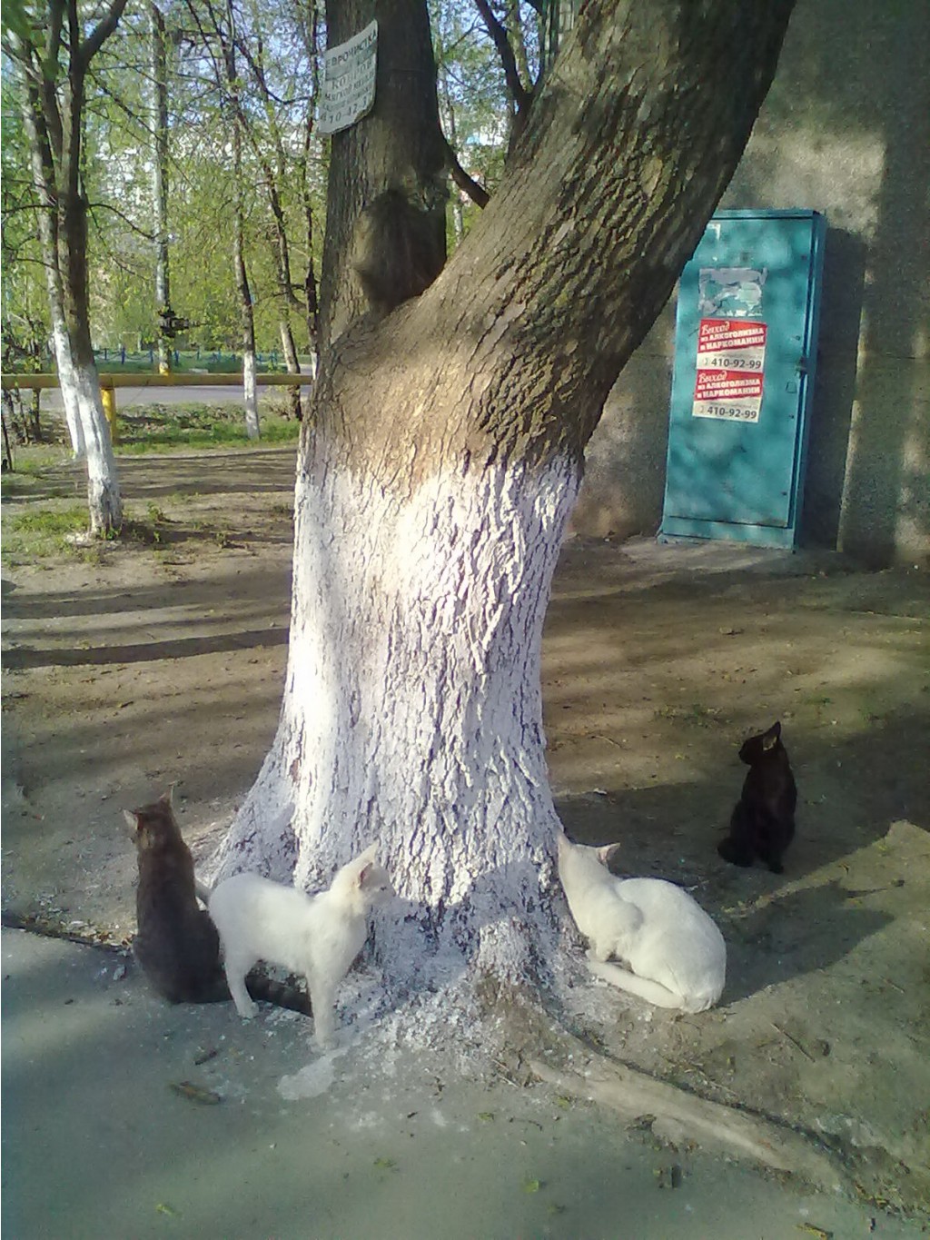 27.05.2013 13:42:17