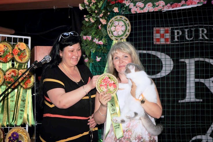 DPP_0490.JPG