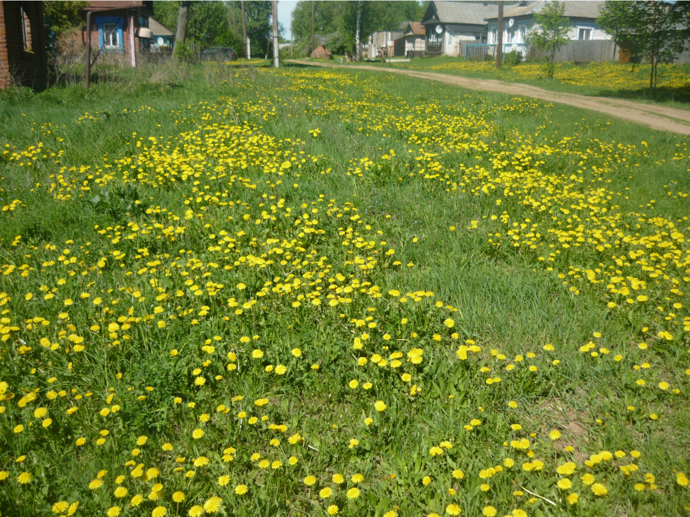 P1260220.JPG