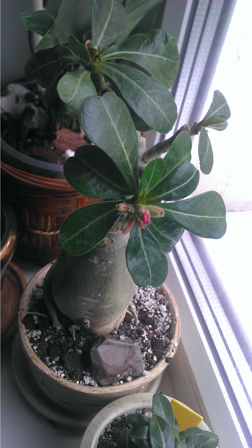2013-05-29 15.47.20.jpg