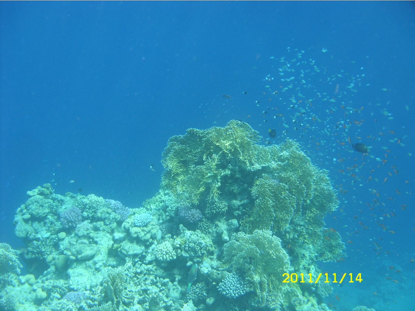 SN850261.JPG