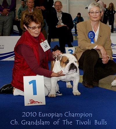 GRANDSLAM OF THE TIVOLI BULLS -  