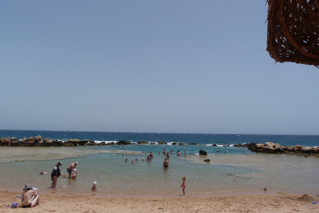 P1010637.JPG
