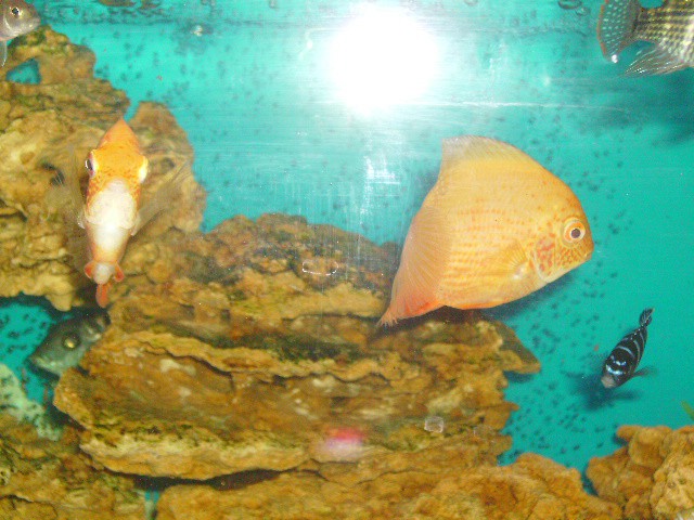 IMGP0309.JPG