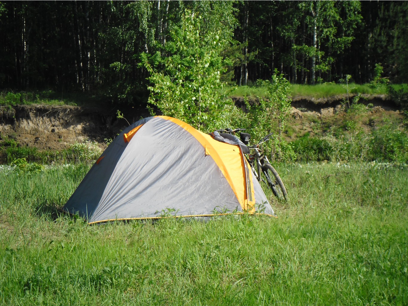 SAM_4450.JPG