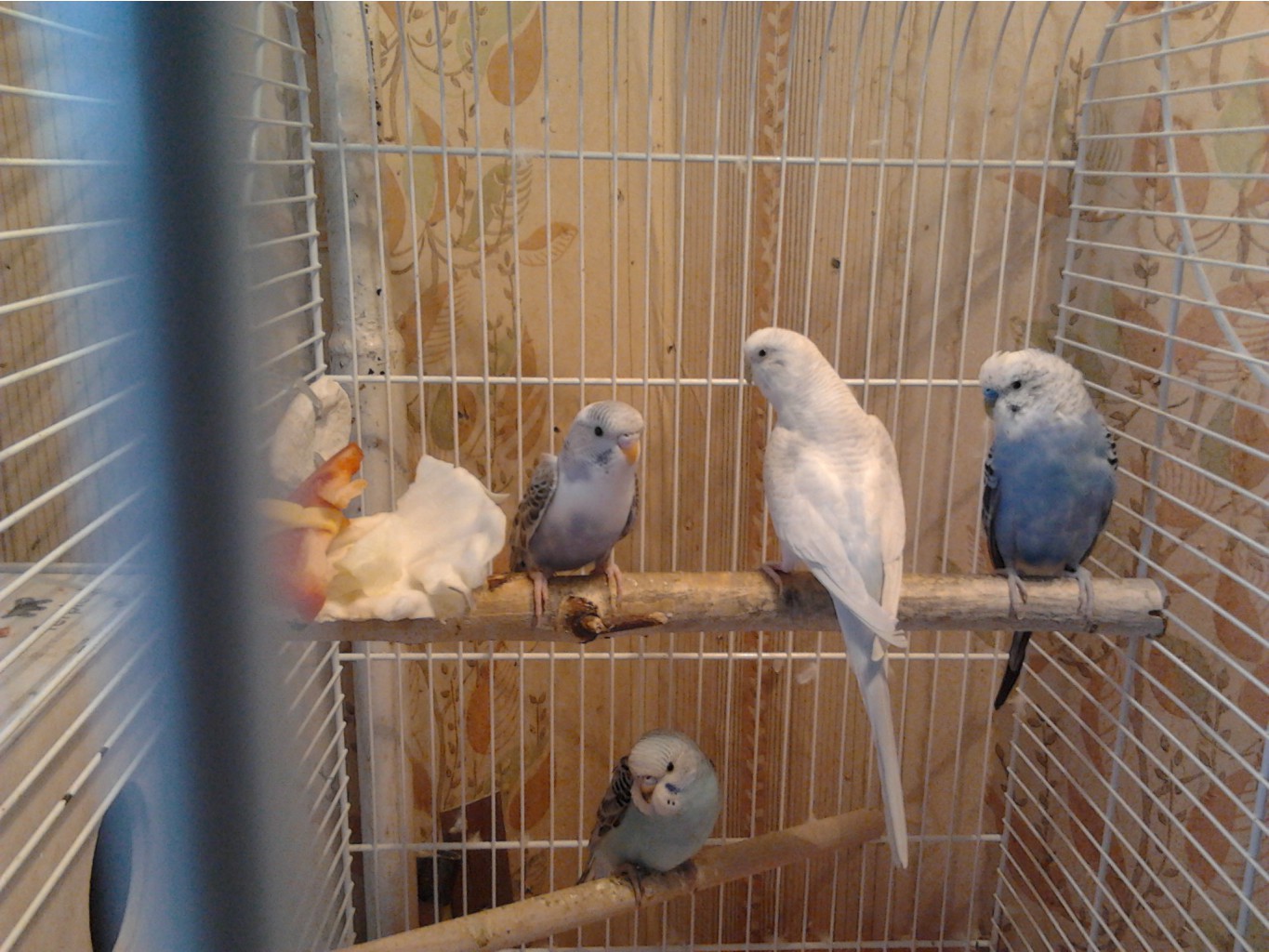 2013-06-02_16.00.38.jpg