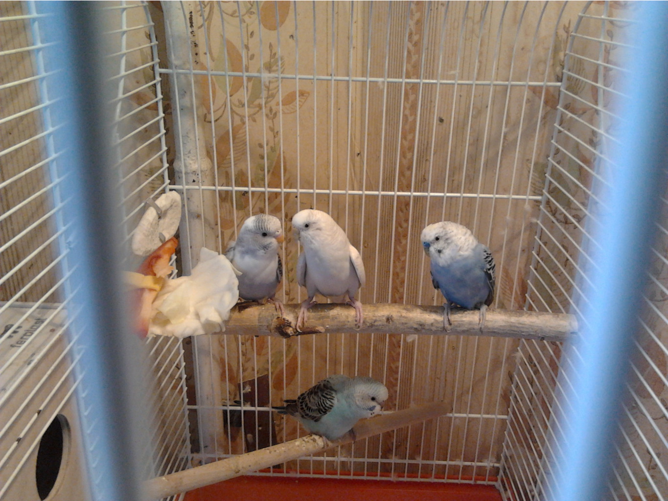 2013-06-02_16.02.54.jpg