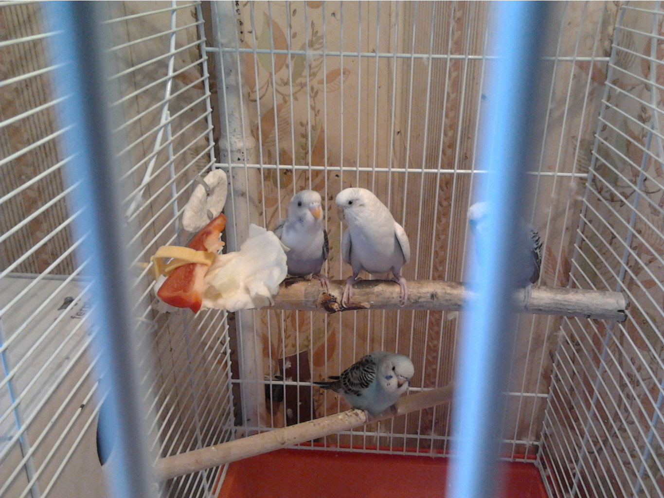 2013-06-02_16.03.03.jpg