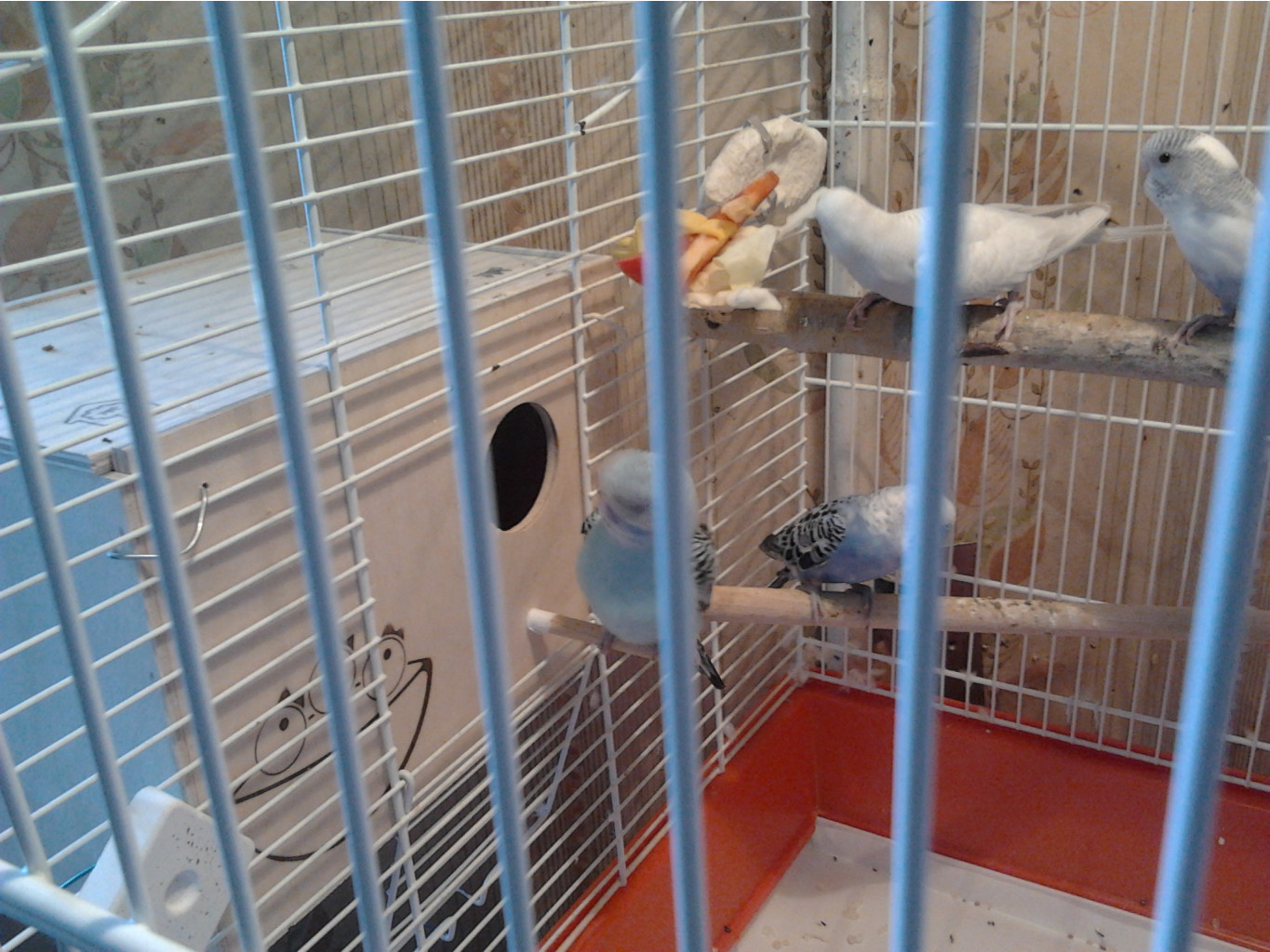 2013-06-02_16.15.36.jpg