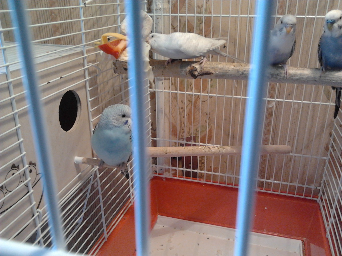 2013-06-02_16.16.21.jpg