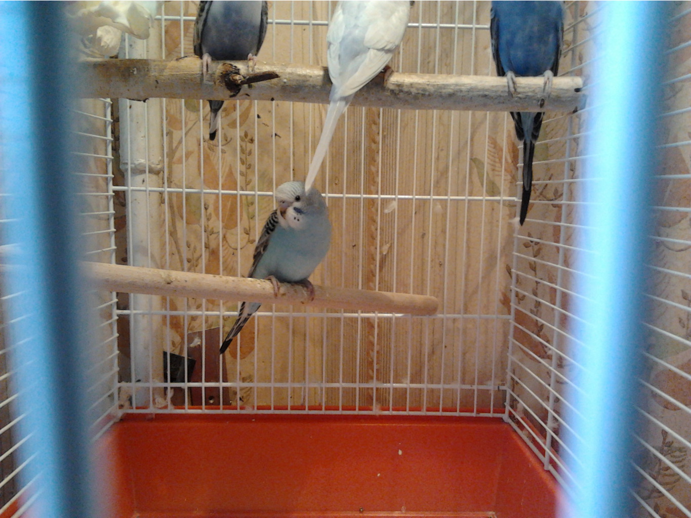 2013-06-02_16.00.26.jpg