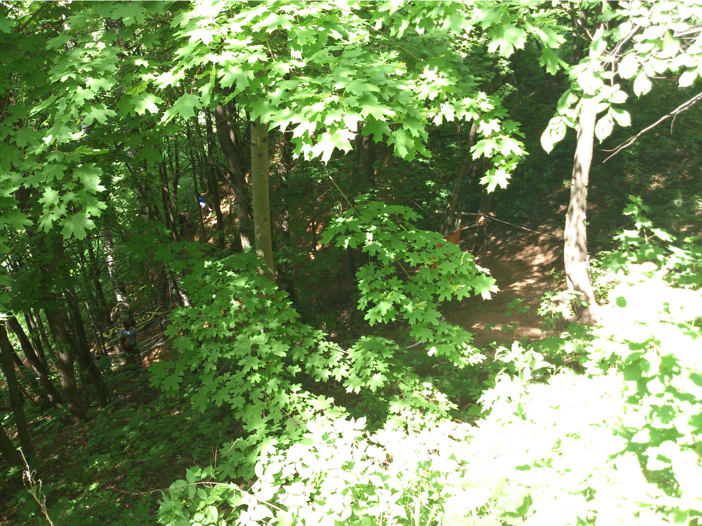 DSC_0004.jpg