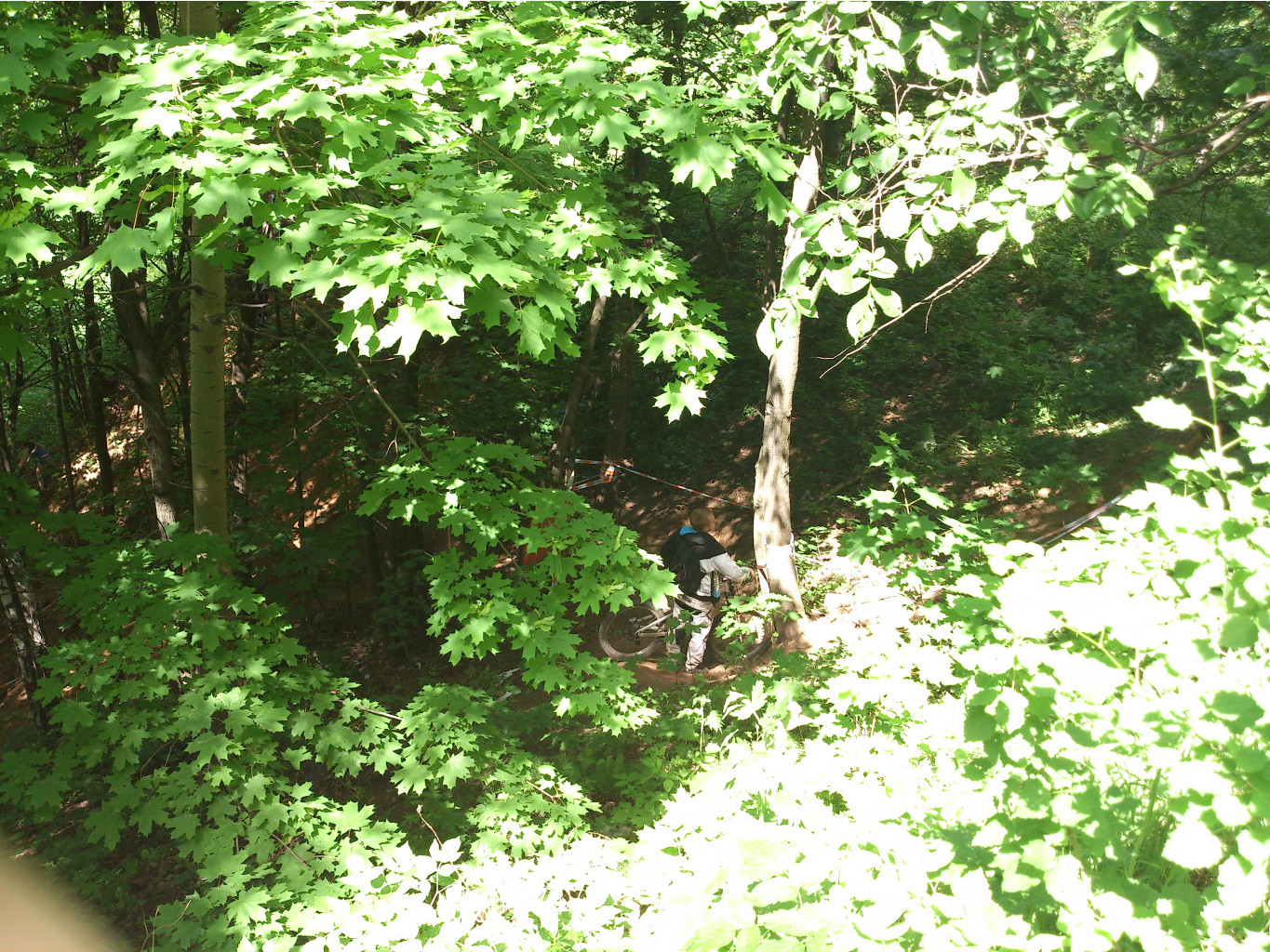 DSC_0005.jpg