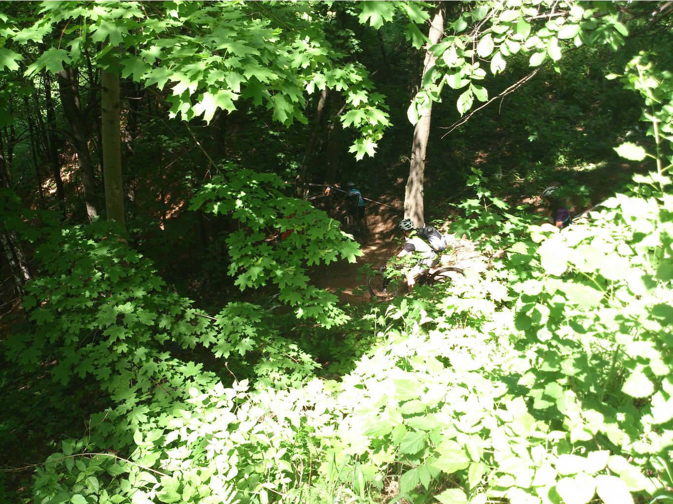 DSC_0006.jpg