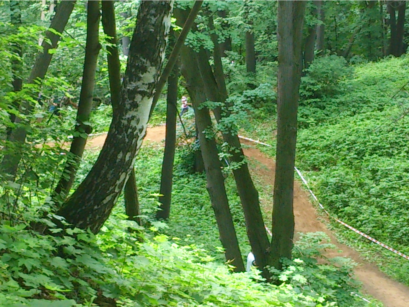 DSC_0031.jpg