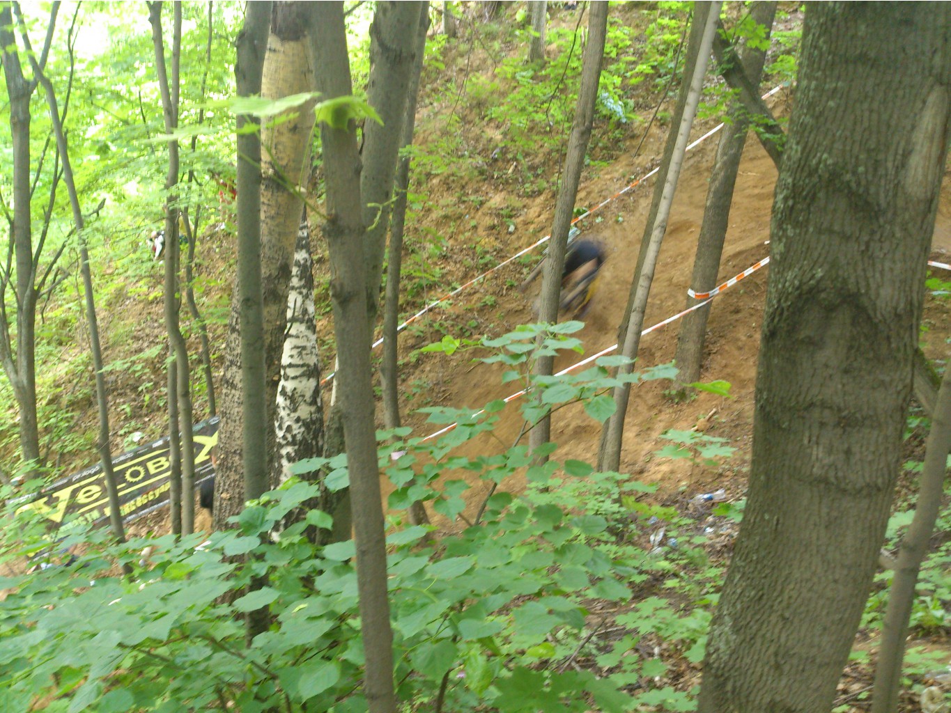 DSC_0038.jpg